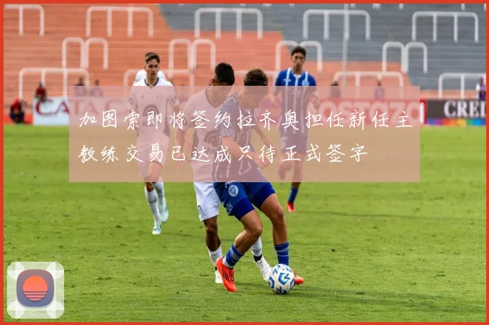 加图索即将签约拉齐奥担任新任主教练交易已达成只待正式签字