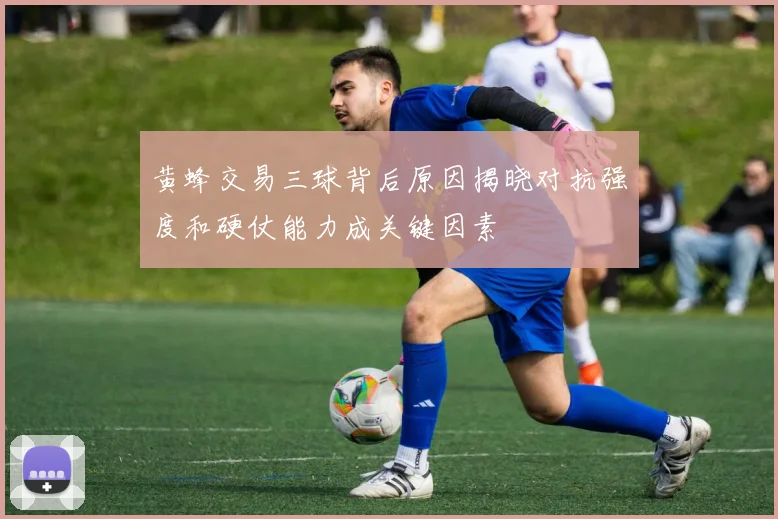 黄蜂交易三球背后原因揭晓对抗强度和硬仗能力成关键因素